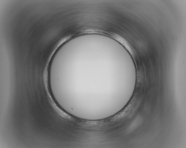 X0000112941098200908241002