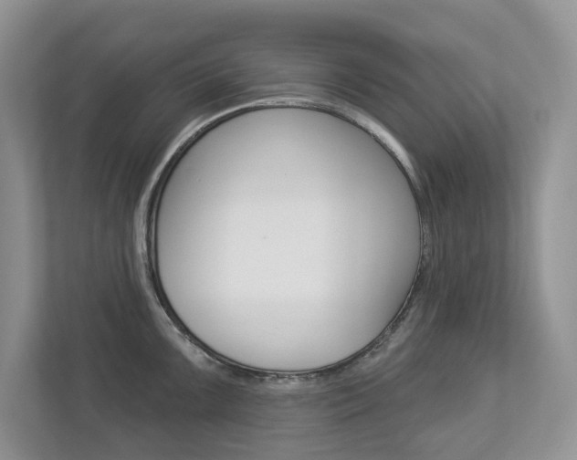 X0000112941099200908241002