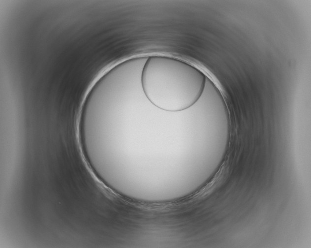 X0000112941101200908241002