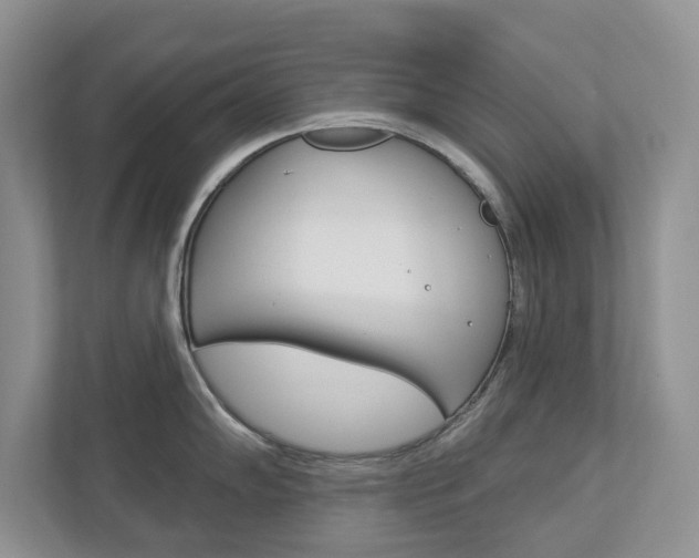 X0000112941102200908241002