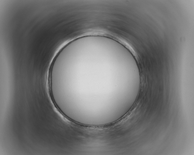 X0000112941103200908241002