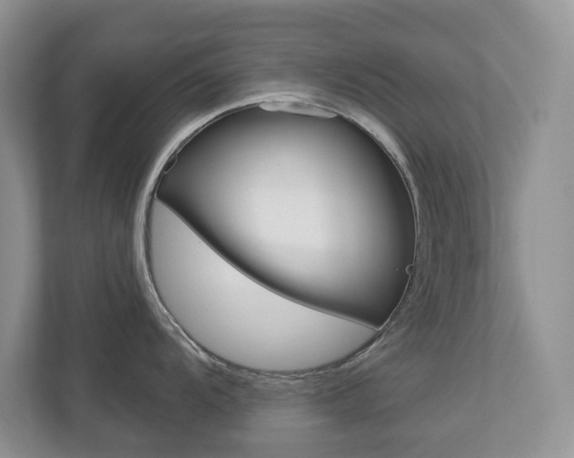 X0000112941104200908241002