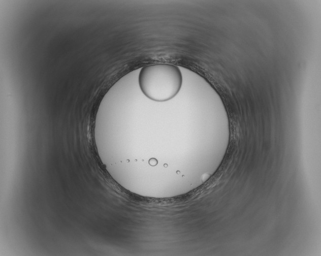 X0000112941106200908241001