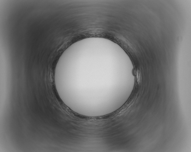 X0000112941107200908241001