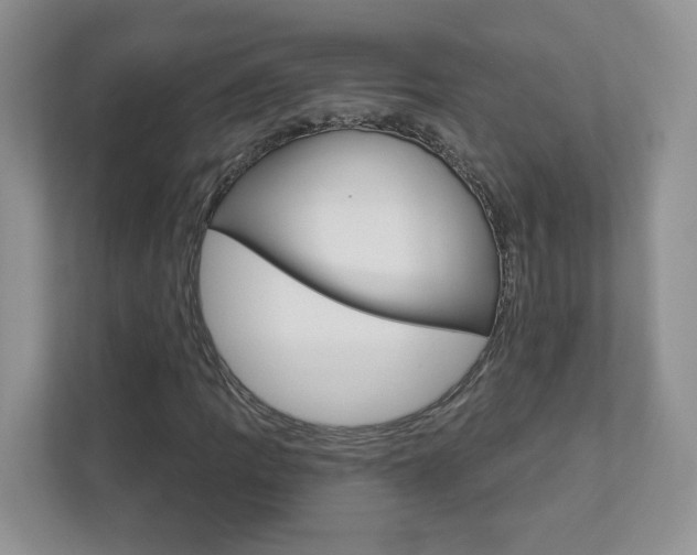 X0000112941109200908241001