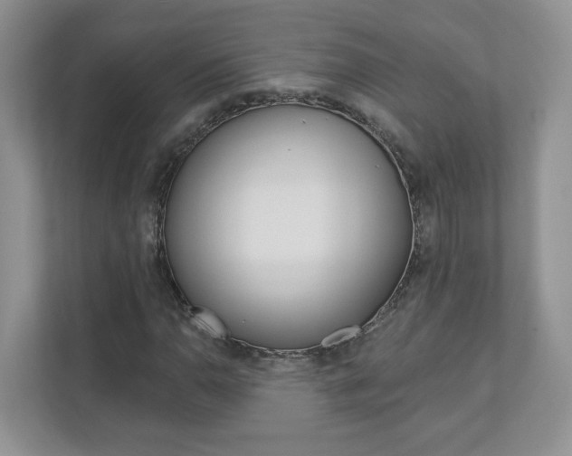 X0000112941110200908241001