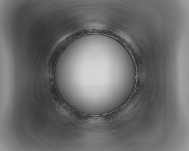 X0000112941112200908241001
