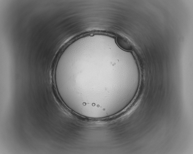 X0000112941113200908241001