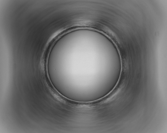 X0000112941114200908241001
