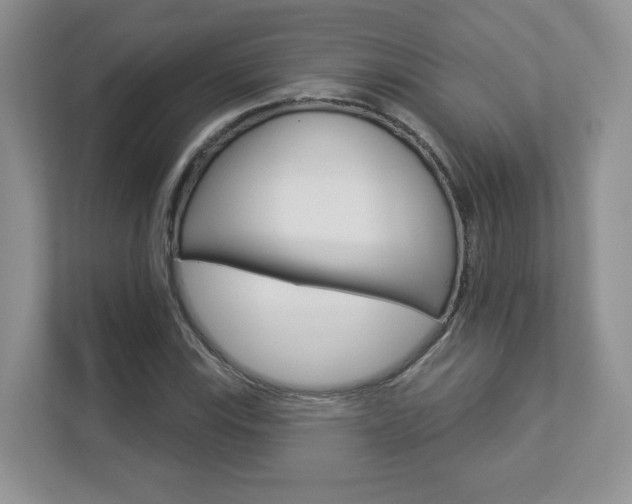 X0000112941115200908241001