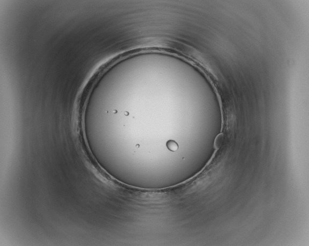 X0000112941116200908241001
