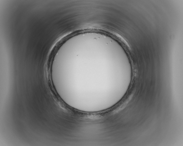 X0000112941117200908241001