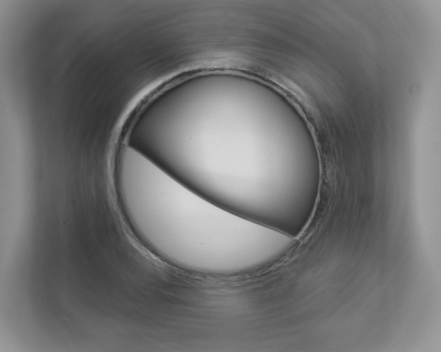 X0000112941120200908241001