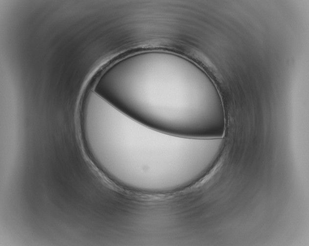 X0000112941122200908241001