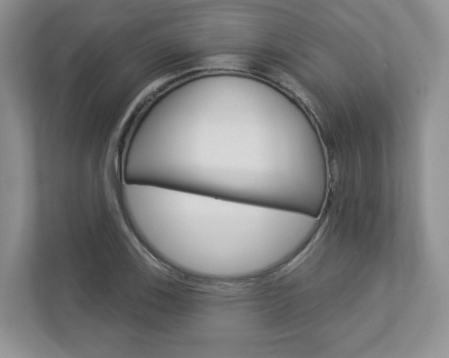 X0000112941123200908241001
