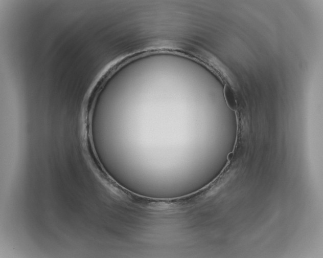 X0000112941124200908241001