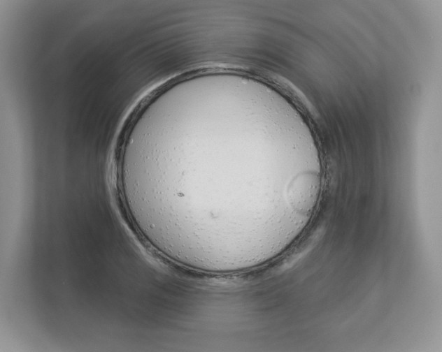 X0000112941125200908241001