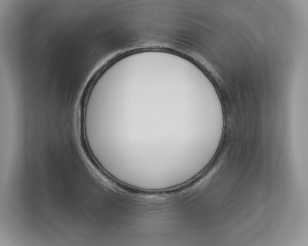 X0000112941126200908241001