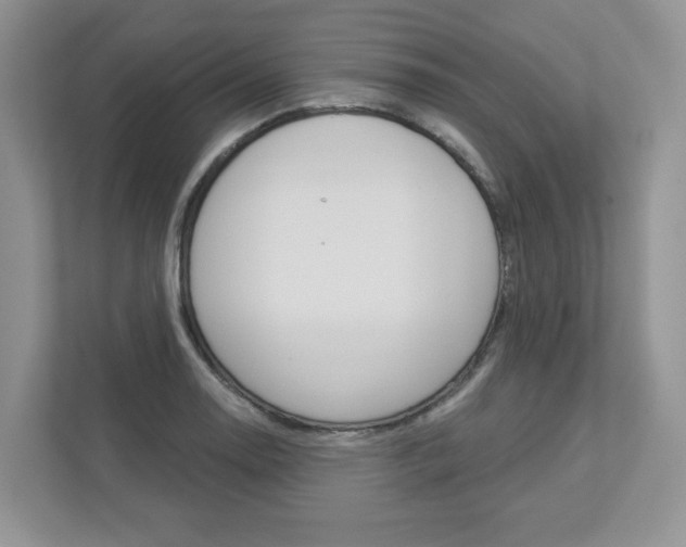 X0000112941130200908241001