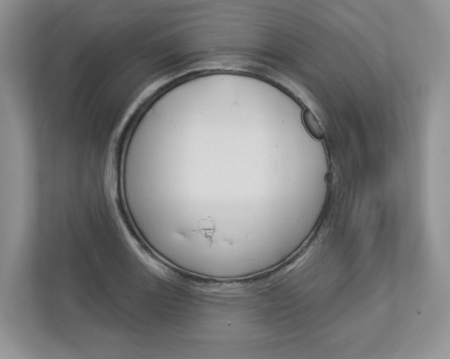 X0000112941131200908241001