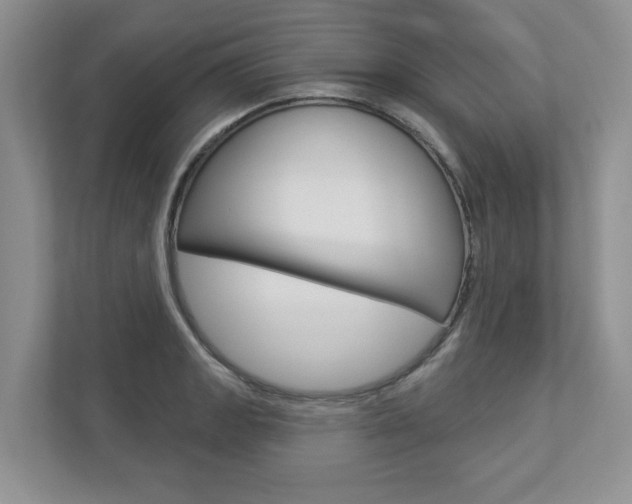 X0000112941133200908241001