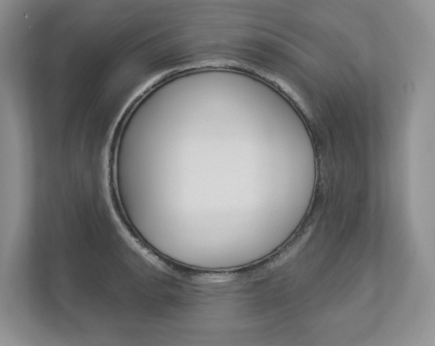 X0000112941134200908241001