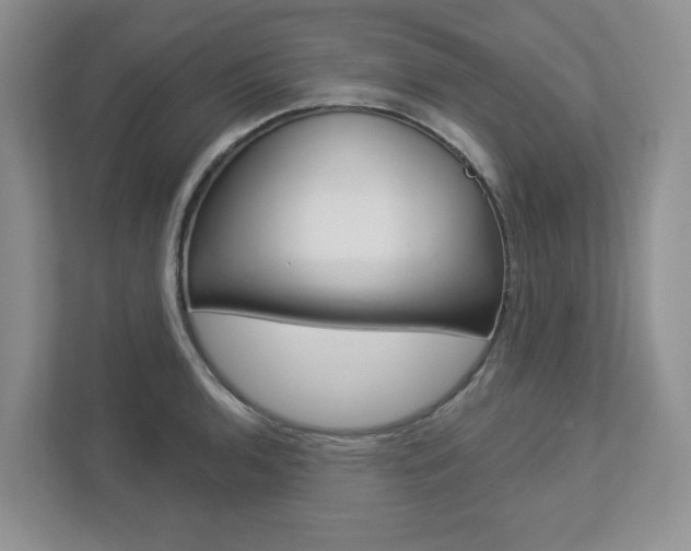 X0000112941136200908241001