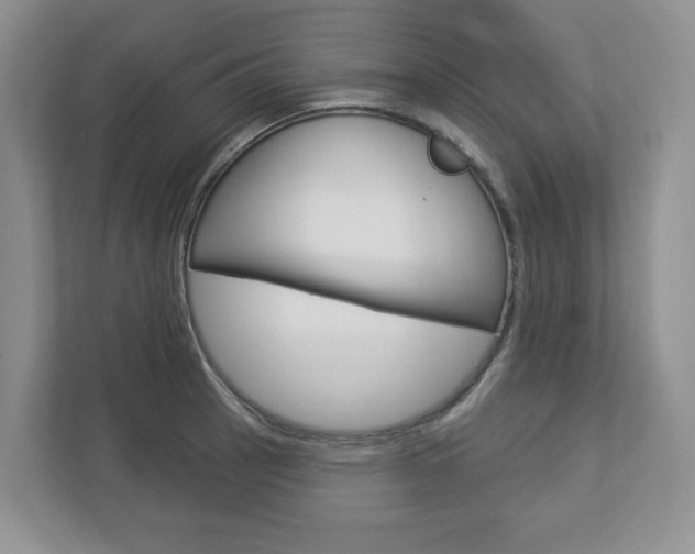 X0000112941137200908241001