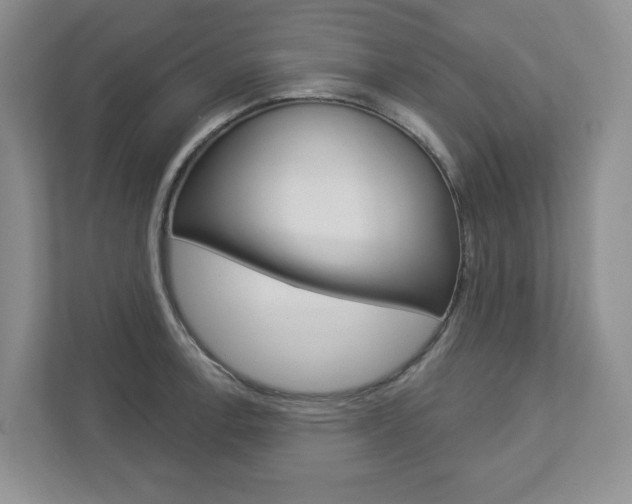 X0000112941138200908241001