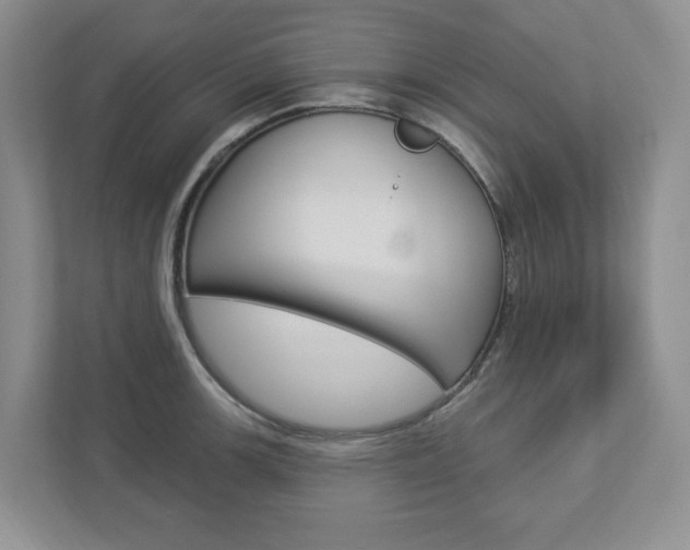 X0000112941139200908241001