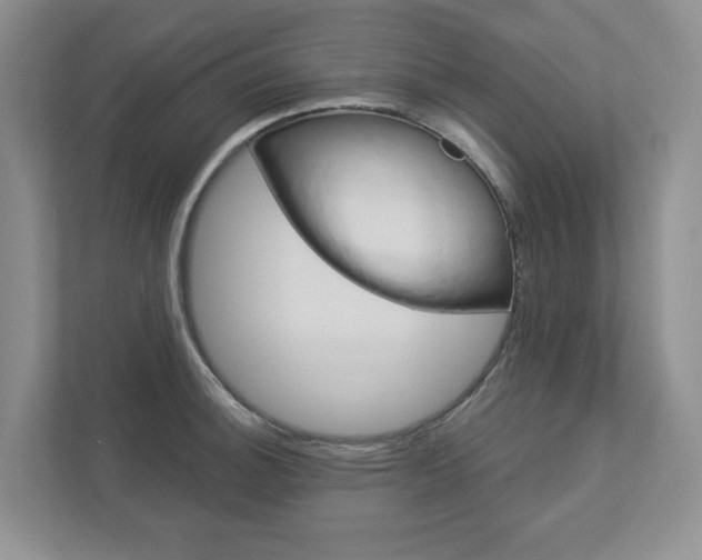 X0000112941140200908241001