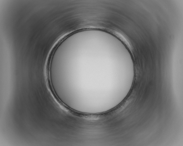 X0000112941141200908241002
