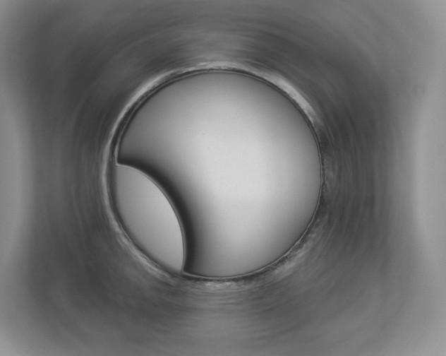 X0000112941142200908241002