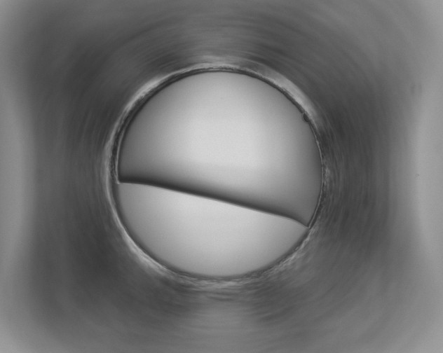 X0000112941143200908241002