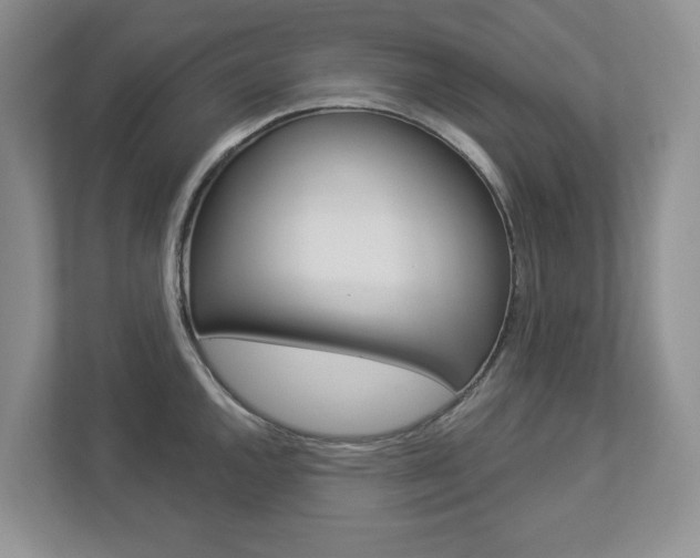 X0000112941144200908241002