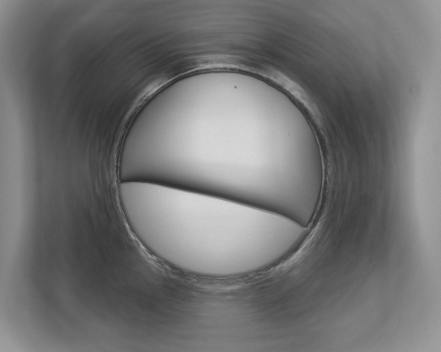 X0000112941145200908241002