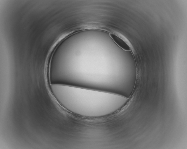 X0000112941146200908241002