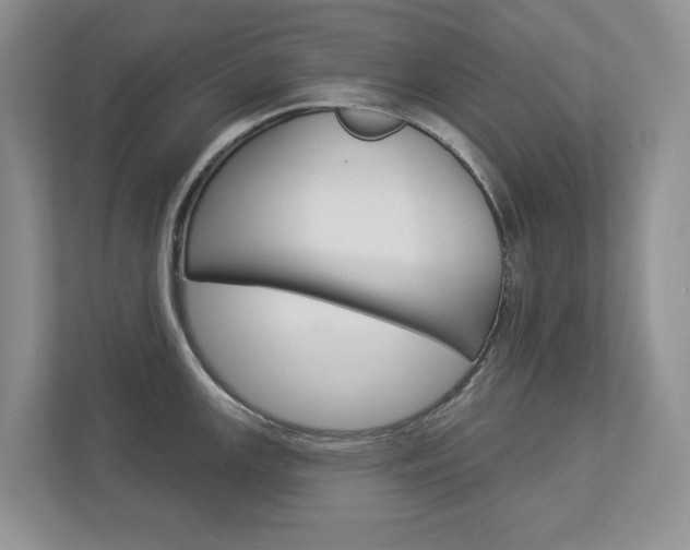 X0000112941147200908241002