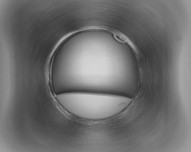 X0000112941148200908241002