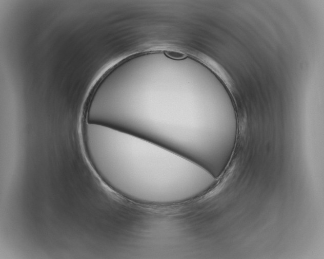 X0000112941149200908241002
