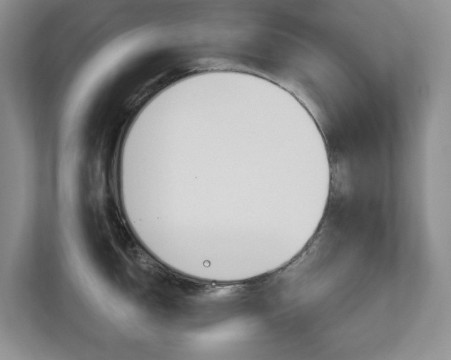 X0000112941150200908241002