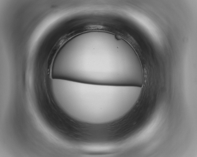 X0000112941151200908241002