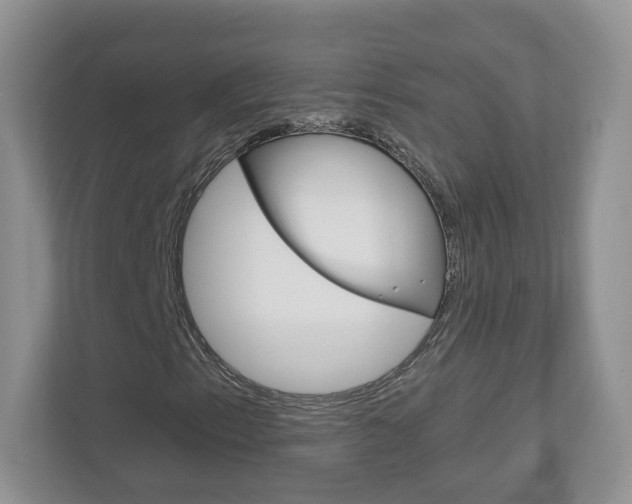 X0000112941153200908241001