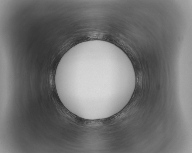 X0000112941154200908241001