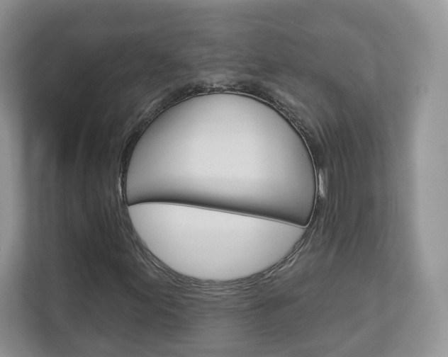 X0000112941155200908241001