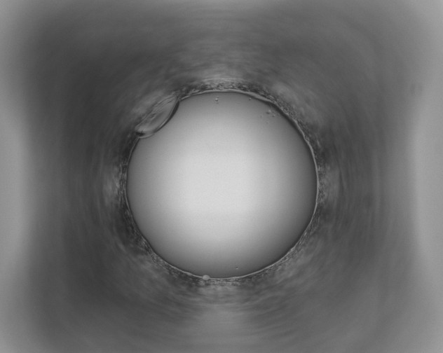 X0000112941157200908241001
