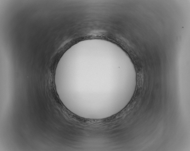 X0000112941158200908241001