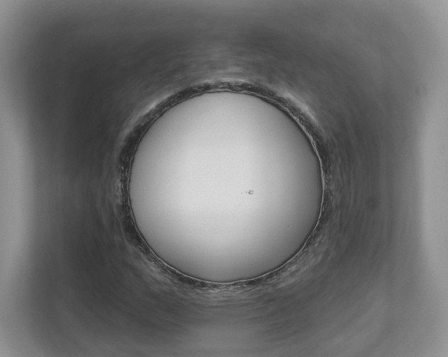 X0000112941159200908241001