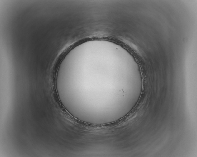 X0000112941160200908241001