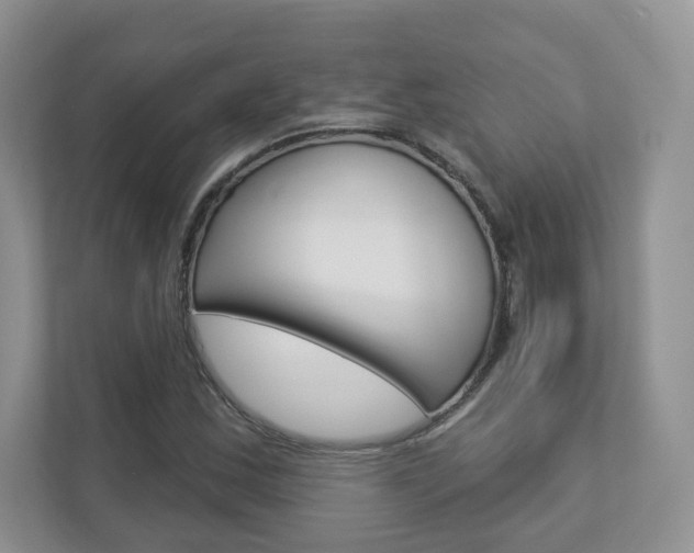 X0000112941163200908241001